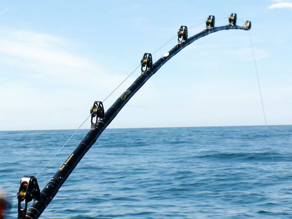 Wicked Tuna - Go Fish!