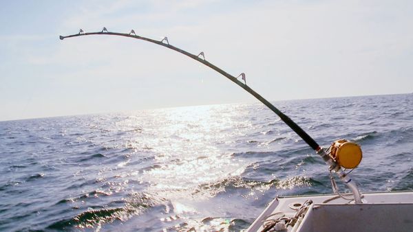 Wicked Tuna - All Hands On Deck