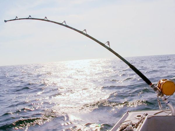 Wicked Tuna - All Hands On Deck