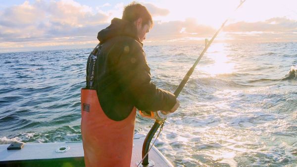 Wicked Tuna - Endgame