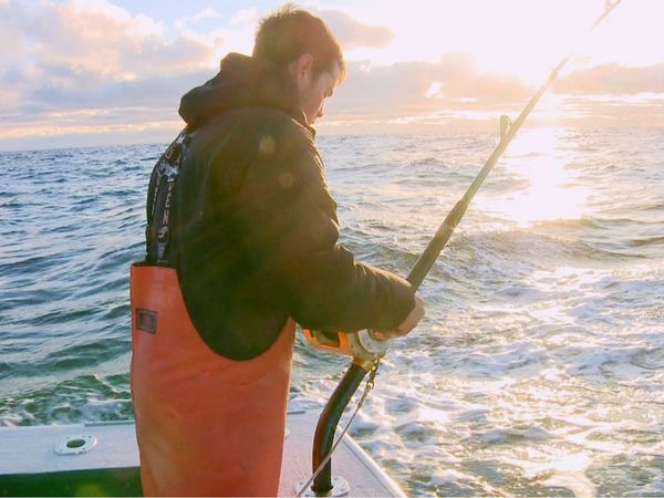 Wicked Tuna - Endgame