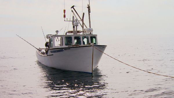 Wicked Tuna - Uncharted Territory