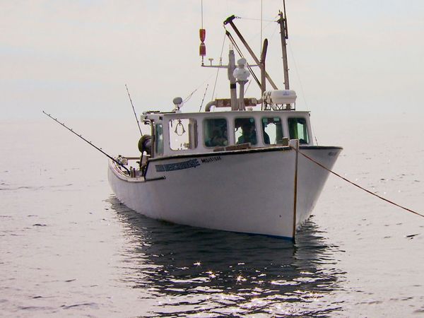 Wicked Tuna - Uncharted Territory