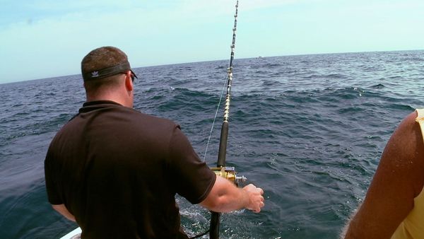 Wicked Tuna - The Numbers War