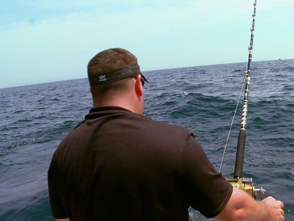Wicked Tuna - The Numbers War