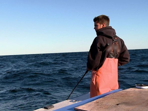 Wicked Tuna - Meltdown