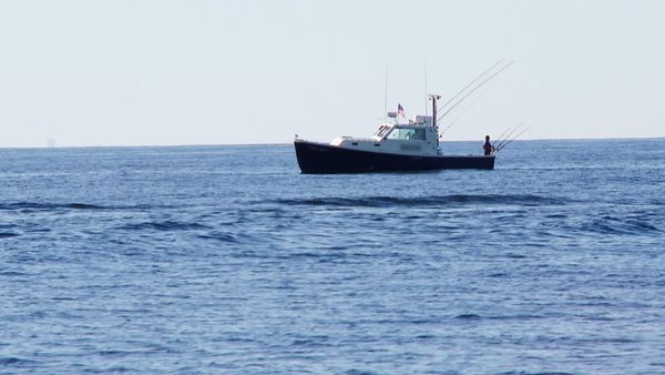 Wicked Tuna - Twice Bitten