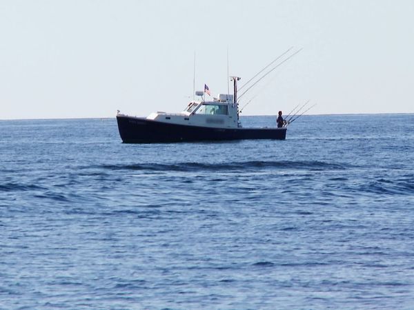 Wicked Tuna - Twice Bitten