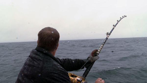 Wicked Tuna - Captain Carnage