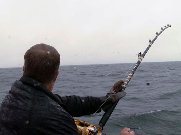 Wicked Tuna - Captain Carnage