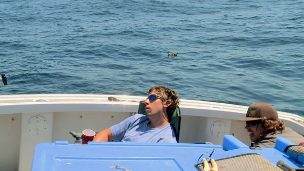 Wicked Tuna - Fish Fight