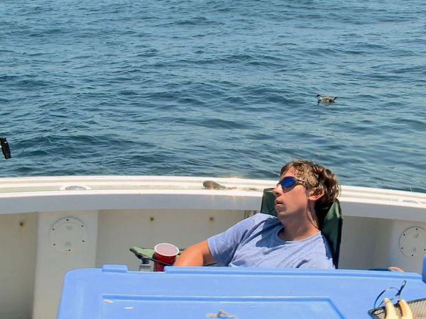 Wicked Tuna - Fish Fight