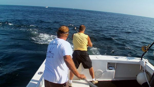 Wicked Tuna - Shark Attack