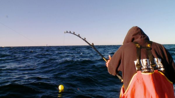 Wicked Tuna - Money On The Line