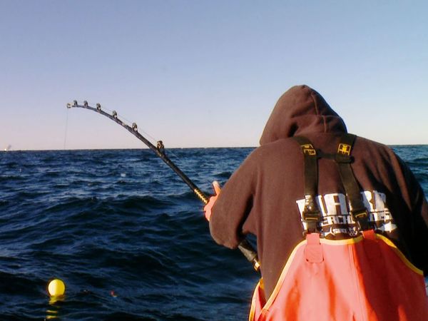 Wicked Tuna - Money On The Line