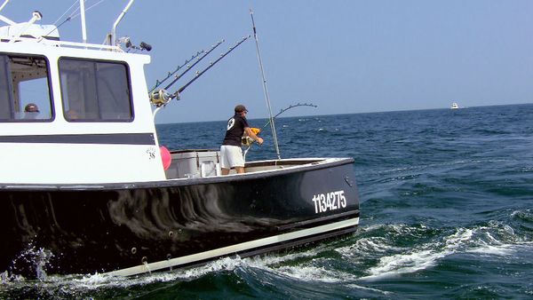 Wicked Tuna - Hell On The High Seas