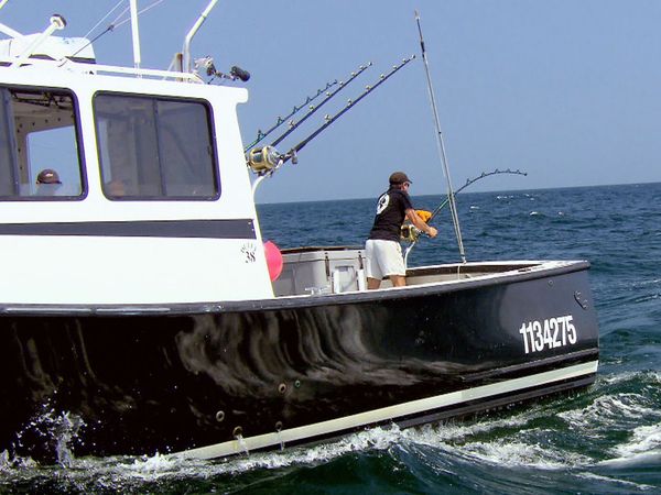 Wicked Tuna - Hell On The High Seas