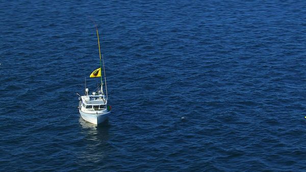 Wicked Tuna - Too Close to Call (Finale Part 2)