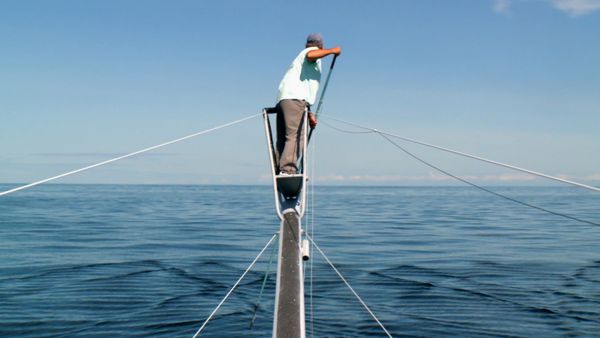 Wicked Tuna - Harpoon Hellraising
