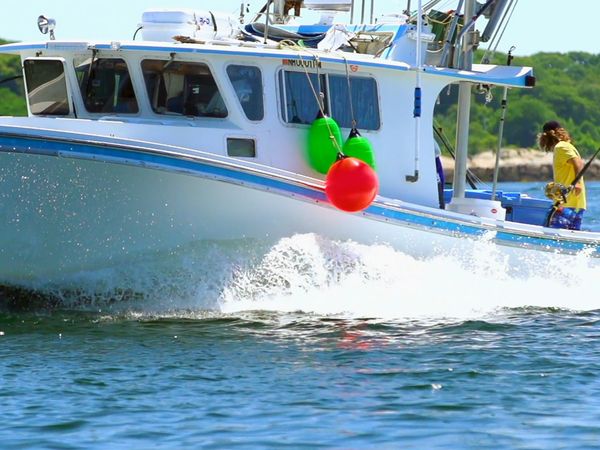 Wicked Tuna - Battle At Midway