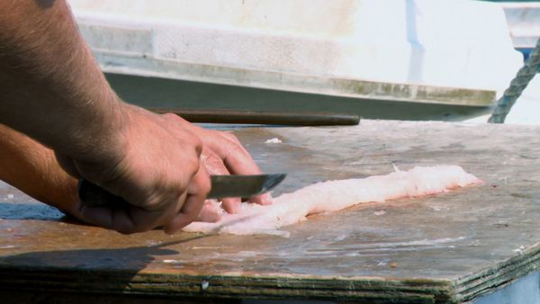 Wicked Tuna - Anchor Anger