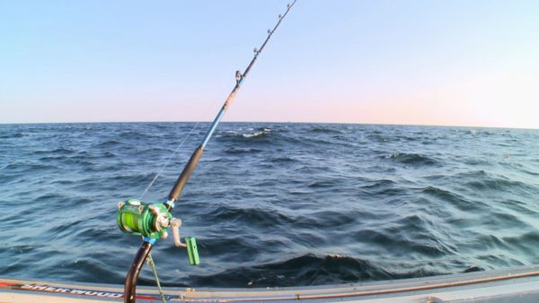 Wicked Tuna - When Push Comes to Shove