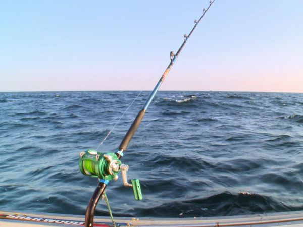 Wicked Tuna - When Push Comes to Shove