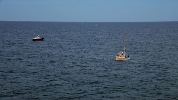 Wicked Tuna - Wicked Pissed