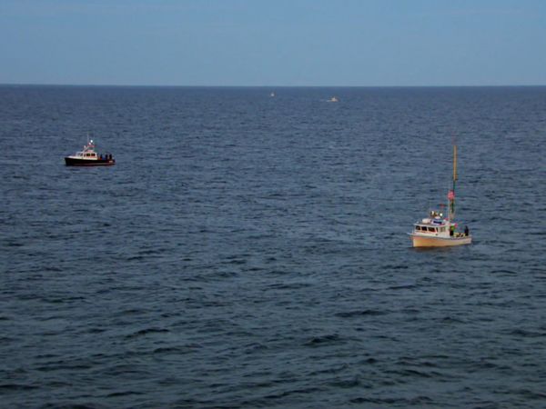 Wicked Tuna - Wicked Pissed