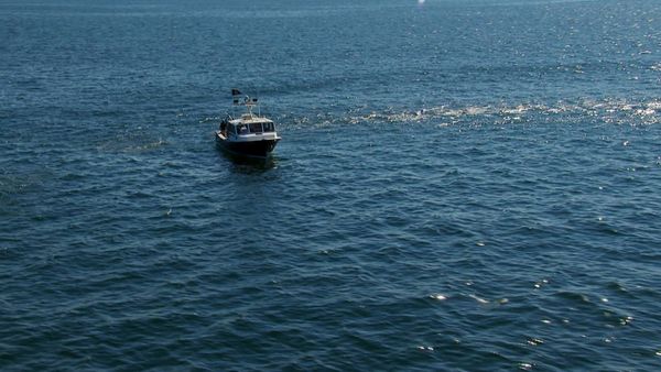 Wicked Tuna - Bent Rods and Broken Hearts
