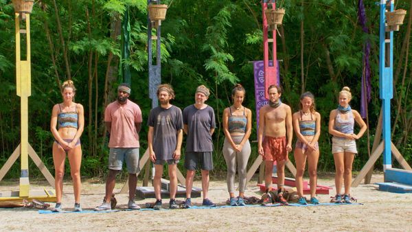 Survivor - So Smart They're Dumb