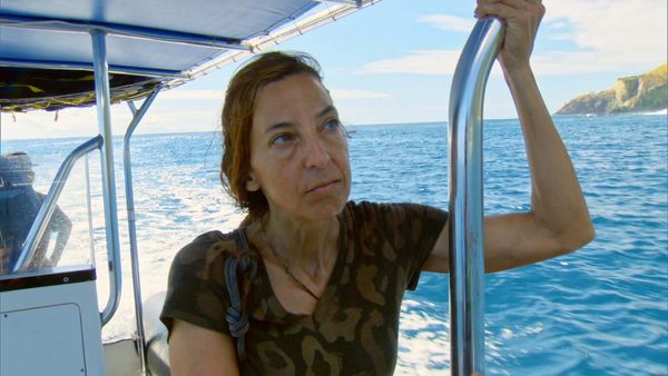 Survivor - Vote Early, Vote Often