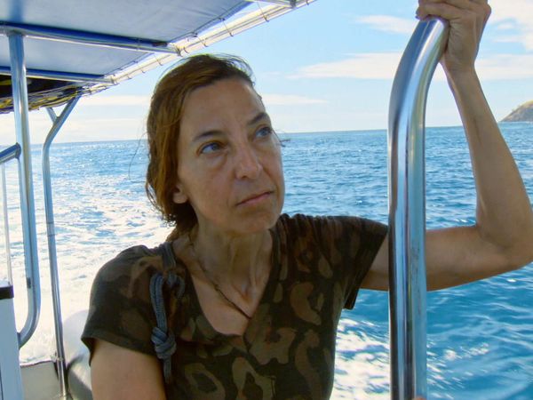 Survivor - Vote Early, Vote Often