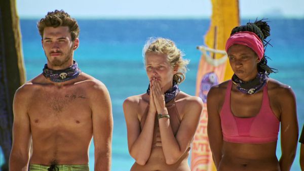 Survivor - It's Like the Perfect Crime