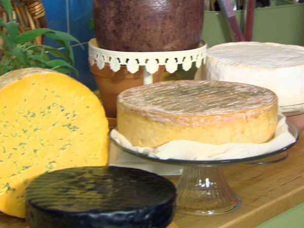 Fresh With Anna Olson - Getting Cheesy