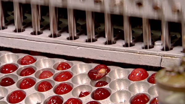 Fresh With Anna Olson - Baby-sized Bites
