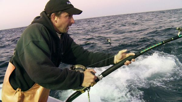 Wicked Tuna - Payback's a Fish