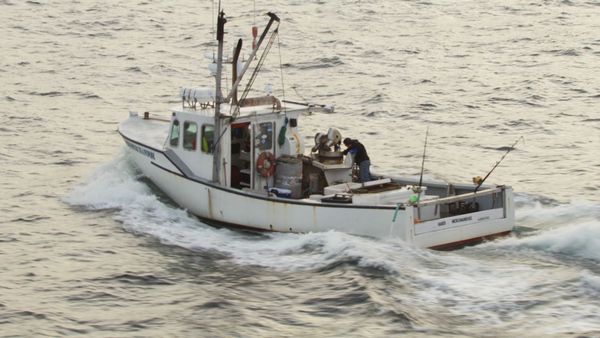 Wicked Tuna - Weekend Warriors