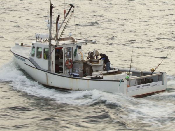 Wicked Tuna - Weekend Warriors