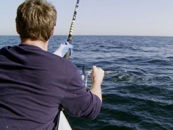 Wicked Tuna - Captain Ralph in Not