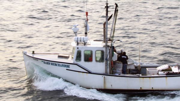 Wicked Tuna - Mann gegen Sturm