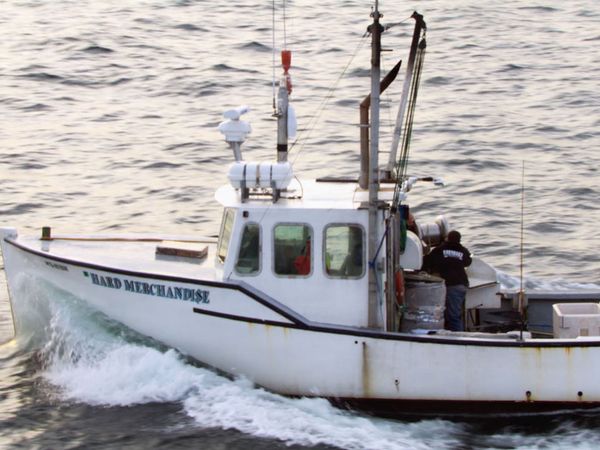 Wicked Tuna - Mann gegen Sturm
