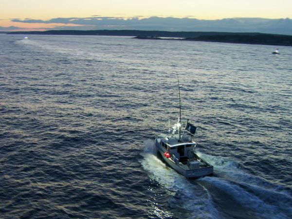 Wicked Tuna - Something to Prove