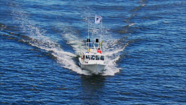 Wicked Tuna - Tuna and Tequila