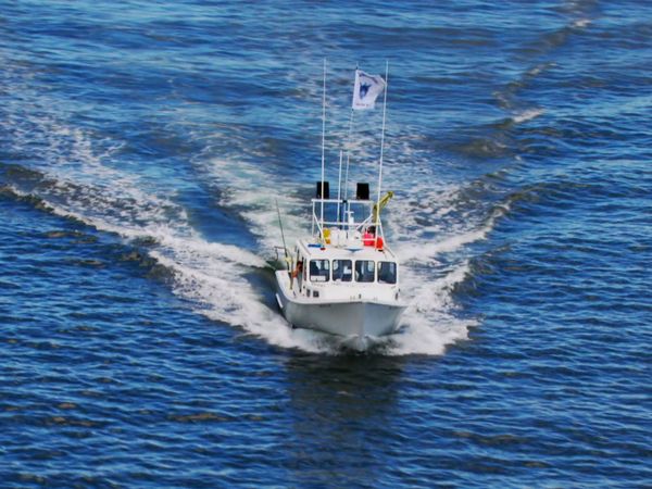 Wicked Tuna - Tuna and Tequila