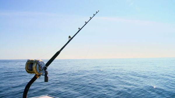 Wicked Tuna - May the Fish Be with You