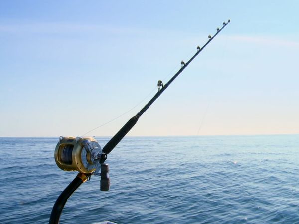 Wicked Tuna - May the Fish Be with You