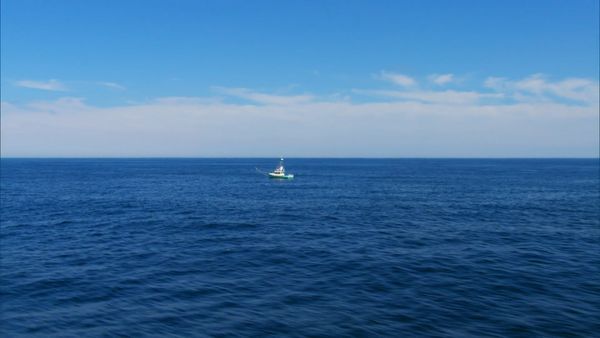Wicked Tuna - Pissed Off on Pissah