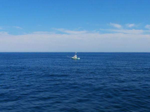 Wicked Tuna - Pissed Off on Pissah