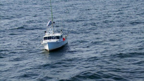 Wicked Tuna - Snitches Get Fishes